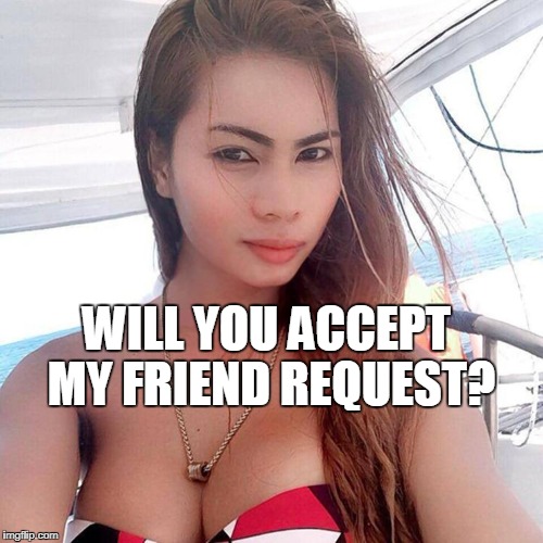 WILL YOU ACCEPT MY FRIEND REQUEST? | made w/ Imgflip meme maker