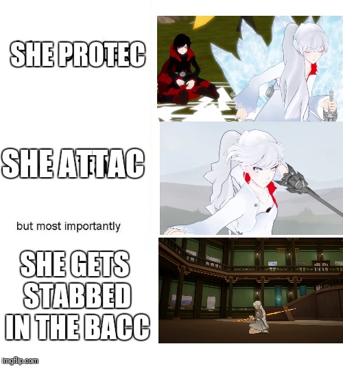he protec | SHE PROTEC; SHE ATTAC; SHE GETS STABBED IN THE BACC | image tagged in he protec | made w/ Imgflip meme maker