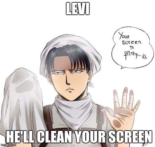 he'll clean your screen | LEVI; HE'LL CLEAN YOUR SCREEN | image tagged in attack on titan,levi | made w/ Imgflip meme maker