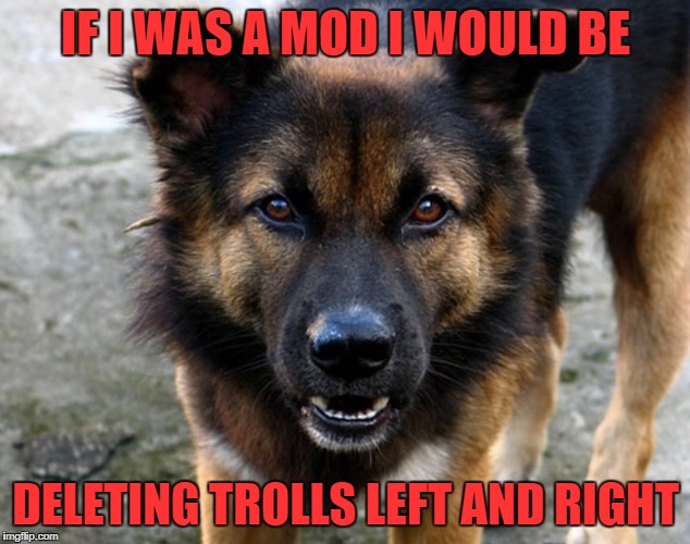 IF I WAS A MOD I WOULD BE DELETING TROLLS LEFT AND RIGHT | made w/ Imgflip meme maker