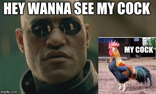 Matrix Morpheus Meme | HEY WANNA SEE MY COCK; MY COCK | image tagged in memes,matrix morpheus | made w/ Imgflip meme maker