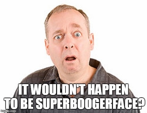 IT WOULDN'T HAPPEN TO BE SUPERBOOGERFACE? | made w/ Imgflip meme maker