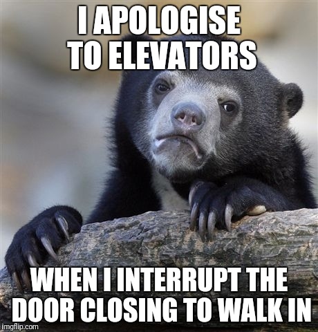 Confession Bear Meme | I APOLOGISE TO ELEVATORS; WHEN I INTERRUPT THE DOOR CLOSING TO WALK IN | image tagged in memes,confession bear | made w/ Imgflip meme maker