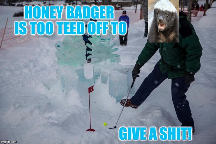 HONEY BADGER IS TOO TEED OFF TO GIVE A SHIT! | made w/ Imgflip meme maker