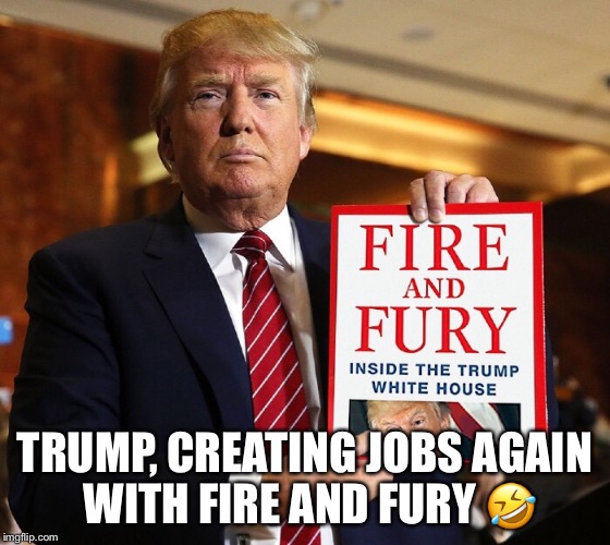 Trump’s Fire And Fury | TRUMP, CREATING JOBS AGAIN WITH FIRE AND FURY 🤣 | image tagged in fire and fury,donald trump,steve bannon,moron | made w/ Imgflip meme maker