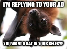 Bat birthday | I'M REPLYING TO YOUR AD; YOU WANT A BAT IN YOUR BELFRY? | image tagged in bat birthday | made w/ Imgflip meme maker