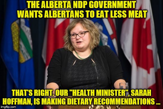 THE ALBERTA NDP GOVERNMENT WANTS ALBERTANS TO EAT LESS MEAT; THAT'S RIGHT. OUR "HEALTH MINISTER", SARAH HOFFMAN, IS MAKING DIETARY RECOMMENDATIONS ... | image tagged in alberta,beef,meat,fat,liberal hypocrisy | made w/ Imgflip meme maker