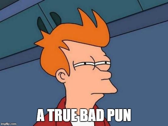 Futurama Fry Meme | A TRUE BAD PUN | image tagged in memes,futurama fry | made w/ Imgflip meme maker