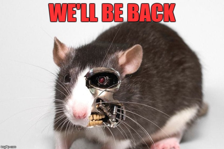 WE'LL BE BACK | made w/ Imgflip meme maker