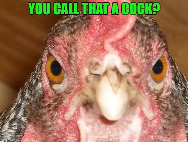 YOU CALL THAT A COCK? | made w/ Imgflip meme maker