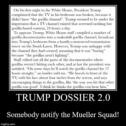 details of trump dossier