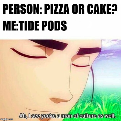 Ah,I see you are a man of culture as well | PERSON: PIZZA OR CAKE? ME:TIDE PODS | image tagged in ah i see you are a man of culture as well | made w/ Imgflip meme maker