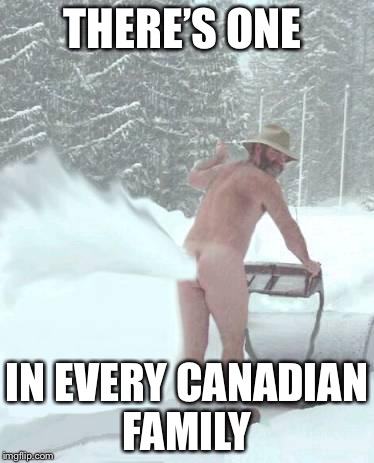  snow blower man | THERE’S ONE; IN EVERY CANADIAN FAMILY | image tagged in snow blower man | made w/ Imgflip meme maker