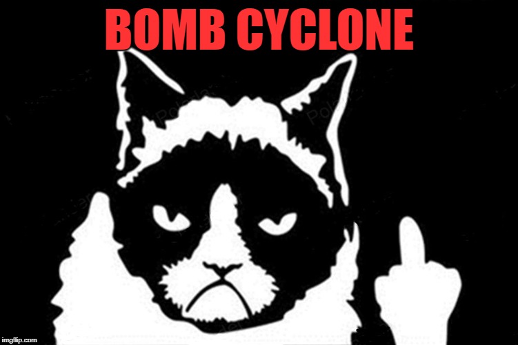 Grumpy Cat Flipping The Bird | BOMB CYCLONE | image tagged in grumpy cat flipping the bird | made w/ Imgflip meme maker