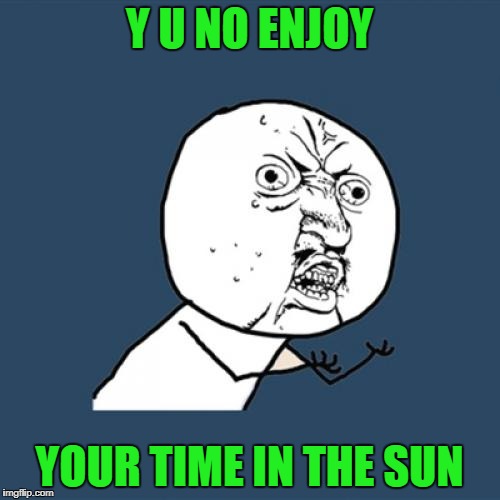 Y U No Meme | Y U NO ENJOY YOUR TIME IN THE SUN | image tagged in memes,y u no | made w/ Imgflip meme maker