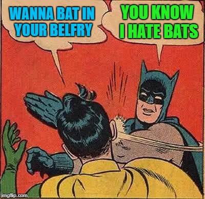 Batman Slapping Robin Meme | WANNA BAT IN YOUR BELFRY YOU KNOW I HATE BATS | image tagged in memes,batman slapping robin | made w/ Imgflip meme maker