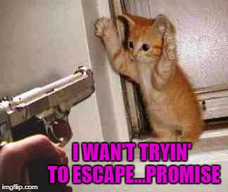 I WAN'T TRYIN' TO ESCAPE...PROMISE | made w/ Imgflip meme maker