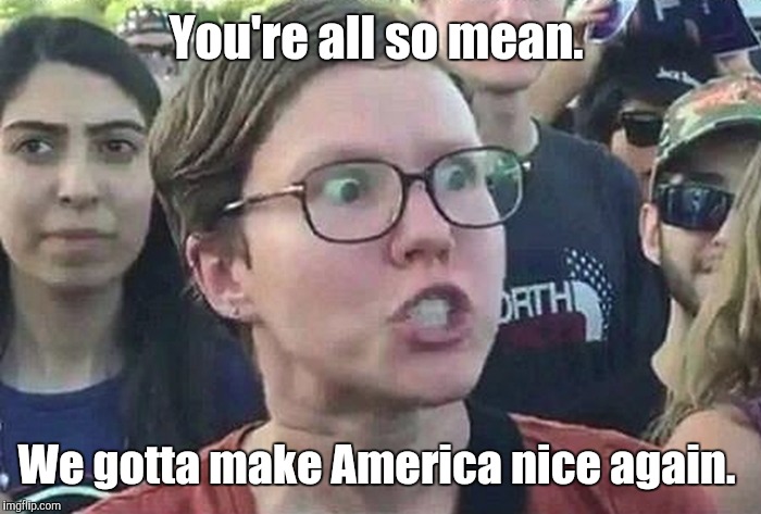 You're all so mean. We gotta make America nice again. | made w/ Imgflip meme maker