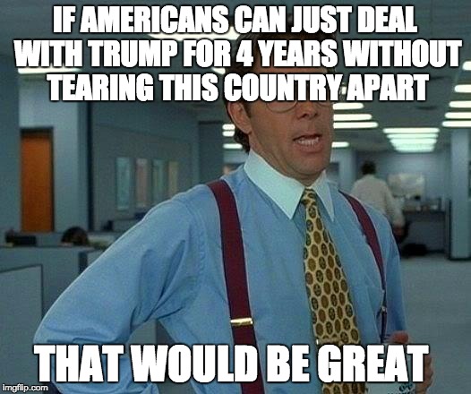 That Would Be Great | IF AMERICANS CAN JUST DEAL WITH TRUMP FOR 4 YEARS WITHOUT TEARING THIS COUNTRY APART; THAT WOULD BE GREAT | image tagged in memes,that would be great | made w/ Imgflip meme maker