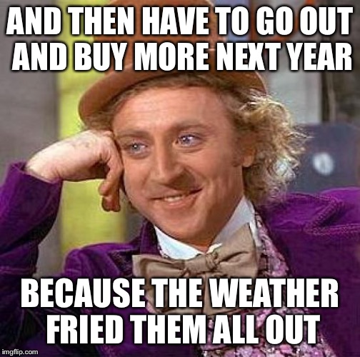 Creepy Condescending Wonka Meme | AND THEN HAVE TO GO OUT AND BUY MORE NEXT YEAR BECAUSE THE WEATHER FRIED THEM ALL OUT | image tagged in memes,creepy condescending wonka | made w/ Imgflip meme maker