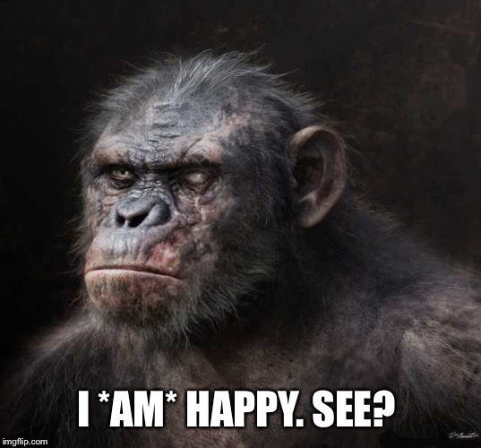 I *AM* HAPPY. SEE? | made w/ Imgflip meme maker