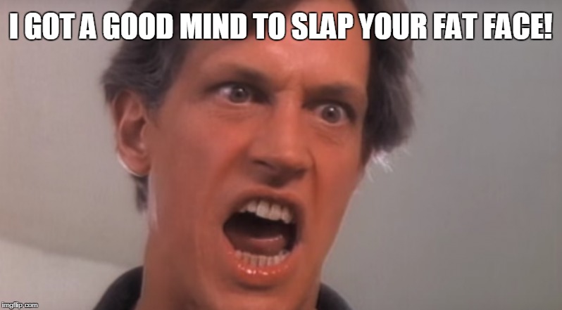 I GOT A GOOD MIND TO SLAP YOUR FAT FACE! | image tagged in twisted sister | made w/ Imgflip meme maker