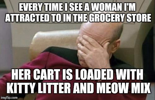 Just how many pussies do you have,honey? | EVERY TIME I SEE A WOMAN I'M ATTRACTED TO IN THE GROCERY STORE; HER CART IS LOADED WITH KITTY LITTER AND MEOW MIX | image tagged in memes,captain picard facepalm | made w/ Imgflip meme maker