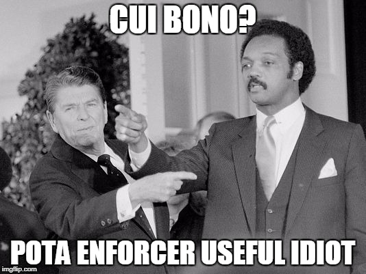 CUI BONO? POTA ENFORCER USEFUL IDIOT | made w/ Imgflip meme maker