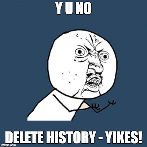 Y U No Meme | Y U NO DELETE HISTORY - YIKES! | image tagged in memes,y u no | made w/ Imgflip meme maker