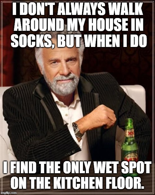 stay absorbent my friends   | I DON'T ALWAYS WALK AROUND MY HOUSE IN SOCKS, BUT WHEN I DO; I FIND THE ONLY WET SPOT ON THE KITCHEN FLOOR. | image tagged in memes,the most interesting man in the world,wet,socks,funny | made w/ Imgflip meme maker