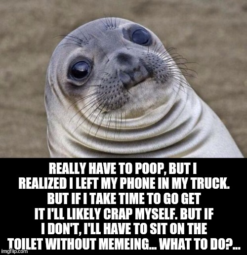 It's a hard choice  | REALLY HAVE TO POOP, BUT I REALIZED I LEFT MY PHONE IN MY TRUCK. BUT IF I TAKE TIME TO GO GET IT I'LL LIKELY CRAP MYSELF. BUT IF I DON'T, I'LL HAVE TO SIT ON THE TOILET WITHOUT MEMEING... WHAT TO DO?... | image tagged in awkward moment sealion,jbmemegeek,awkward moment | made w/ Imgflip meme maker