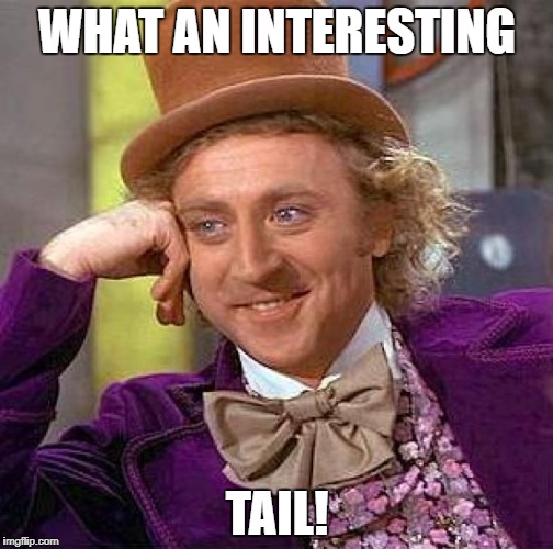 Creepy Condescending Wonka Meme | WHAT AN INTERESTING TAIL! | image tagged in memes,creepy condescending wonka | made w/ Imgflip meme maker