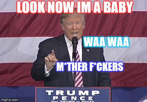 Ill be the best baby, believe me. | LOOK NOW IM A BABY; WAA WAA; M*THER F*CKERS | image tagged in trump meme,media,news,funny,lol,humor | made w/ Imgflip meme maker