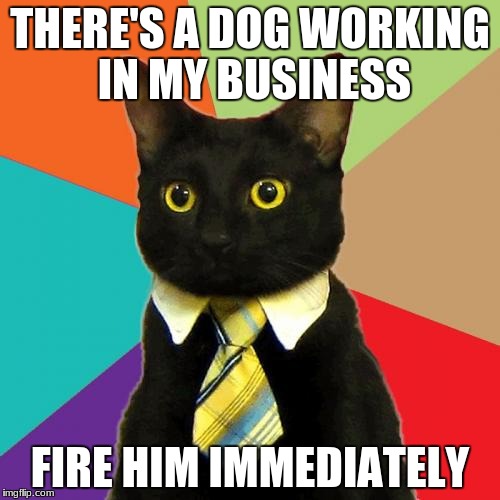 Business Cat Meme | THERE'S A DOG WORKING IN MY BUSINESS; FIRE HIM IMMEDIATELY | image tagged in memes,business cat | made w/ Imgflip meme maker