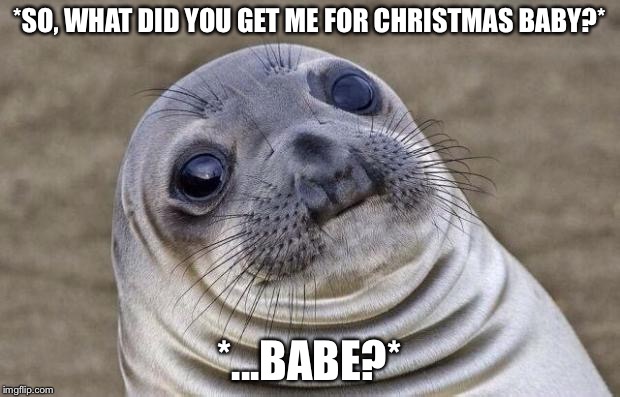 Awkward Moment Sealion Meme | *SO, WHAT DID YOU GET ME FOR CHRISTMAS BABY?*; *...BABE?* | image tagged in memes,awkward moment sealion | made w/ Imgflip meme maker