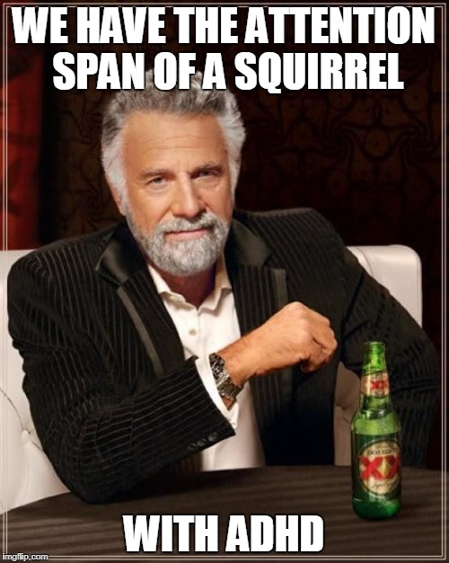 The Most Interesting Man In The World Meme | WE HAVE THE ATTENTION SPAN OF A SQUIRREL WITH ADHD | image tagged in memes,the most interesting man in the world | made w/ Imgflip meme maker