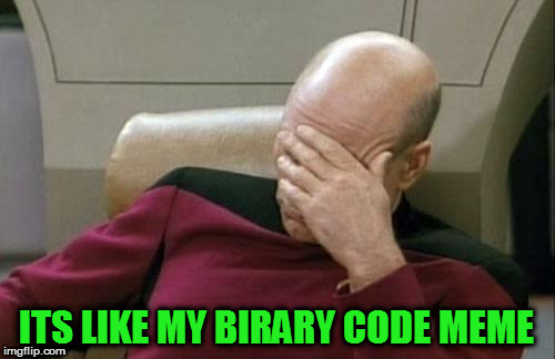 Captain Picard Facepalm Meme | ITS LIKE MY BIRARY CODE MEME | image tagged in memes,captain picard facepalm | made w/ Imgflip meme maker