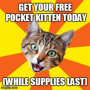 Bad Advice Cat Meme | GET YOUR FREE POCKET KITTEN TODAY (WHILE SUPPLIES LAST) | image tagged in memes,bad advice cat | made w/ Imgflip meme maker