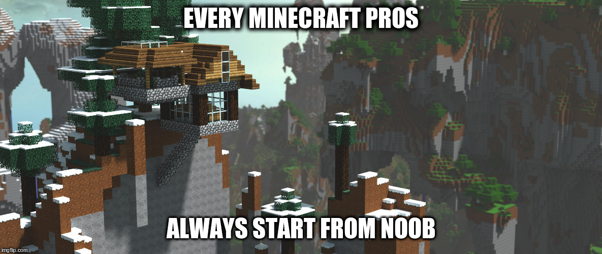 EVERY MINECRAFT PROS; ALWAYS START FROM NOOB | image tagged in minecraft | made w/ Imgflip meme maker