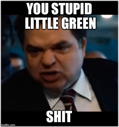 you stupid shit | YOU STUPID LITTLE GREEN SHIT | image tagged in you stupid shit | made w/ Imgflip meme maker