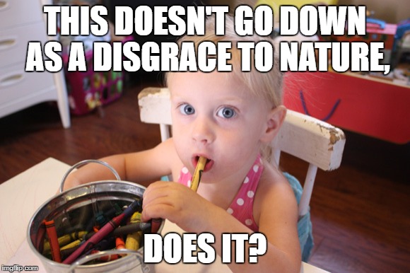 THIS DOESN'T GO DOWN AS A DISGRACE TO NATURE, DOES IT? | made w/ Imgflip meme maker
