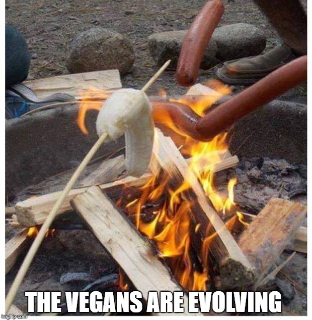 vegan suprising people since the 1900s | THE VEGANS ARE EVOLVING | image tagged in memes,funny,ssby,vegan | made w/ Imgflip meme maker