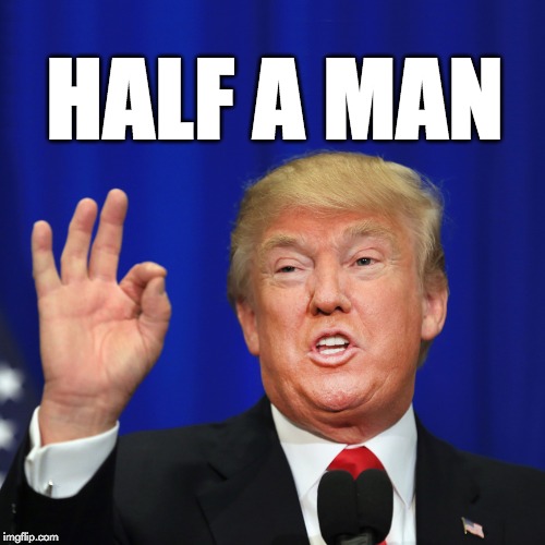 half a man | HALF A MAN | image tagged in trump,donaldtrump,maga,weak,sadlittleman | made w/ Imgflip meme maker
