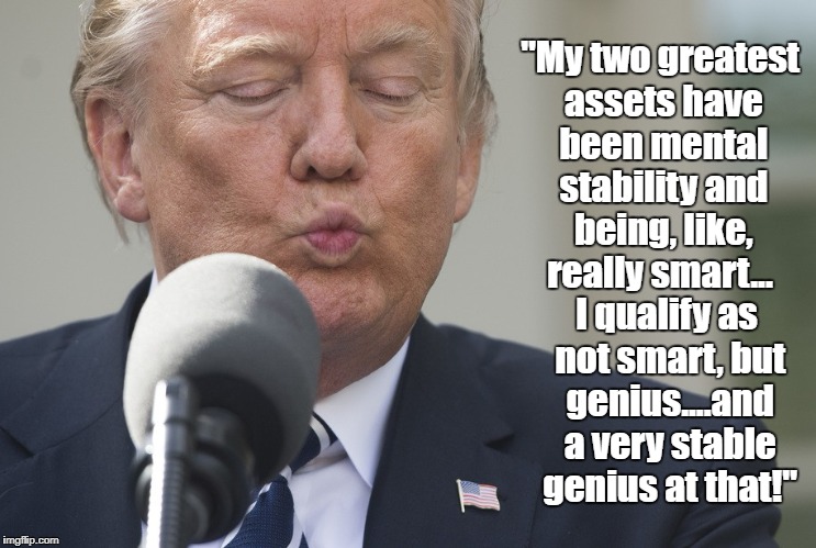"My two greatest assets have been mental stability and being, like, really smart... I qualify as not smart, but genius....and a very stable  | made w/ Imgflip meme maker