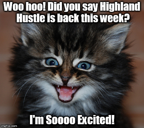 Excited Hustle Cat | Woo hoo! Did you say Highland Hustle is back this week? I'm Soooo Excited! | image tagged in kitten,fitness | made w/ Imgflip meme maker