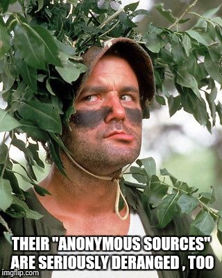 Bill Murray camouflaged | THEIR "ANONYMOUS SOURCES" ARE SERIOUSLY DERANGED , TOO | image tagged in bill murray camouflaged | made w/ Imgflip meme maker