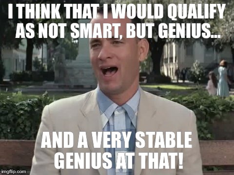 I THINK THAT I WOULD QUALIFY AS NOT SMART, BUT GENIUS... AND A VERY STABLE GENIUS AT THAT! | image tagged in trump 2016 | made w/ Imgflip meme maker