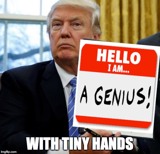 We Are So Lucky in America | WITH TINY HANDS | image tagged in donald trump | made w/ Imgflip meme maker