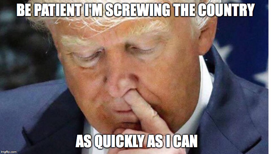 BE PATIENT I'M SCREWING THE COUNTRY; AS QUICKLY AS I CAN | image tagged in screwingthecountry | made w/ Imgflip meme maker