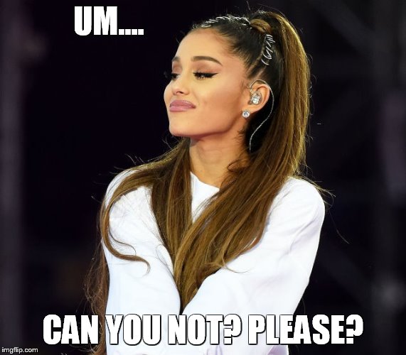 Ariana Grande: Can You Not? | UM.... CAN YOU NOT? PLEASE? | image tagged in memes | made w/ Imgflip meme maker